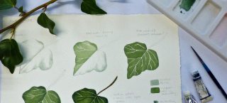 Botanical Art