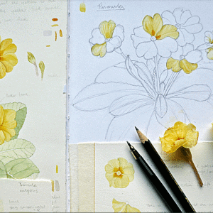 AHC942 Botanical Art Spring