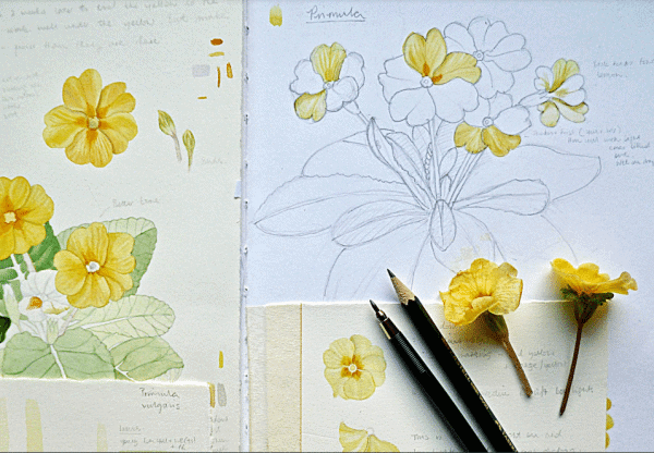 AHC942 Botanical Art Spring
