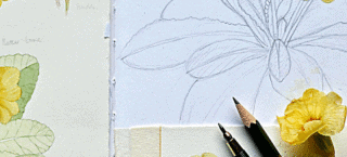Botanical Art