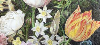 Sketching and Drawing in Tone and Colour