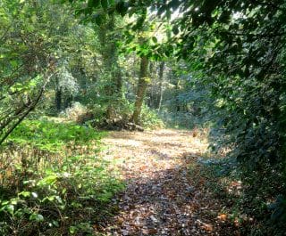 Stranmillis College grounds