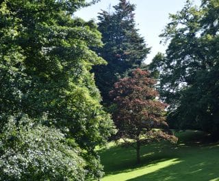 Stranmillis College grounds