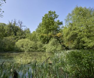 Stranillis College grounds and landscape