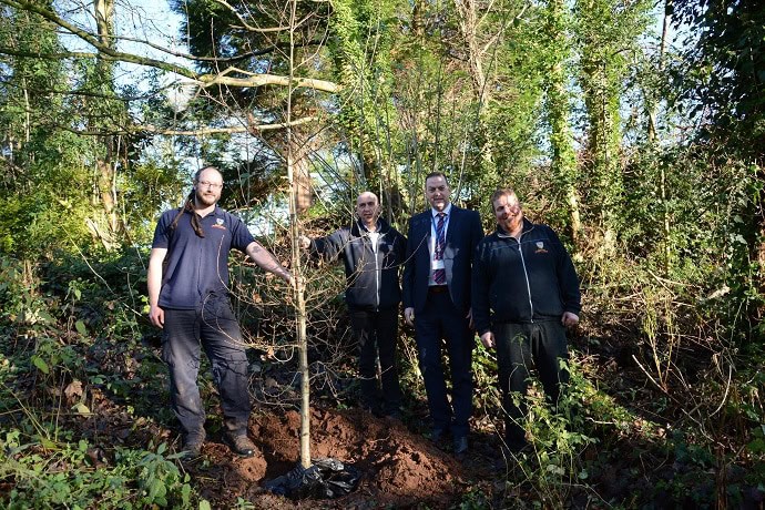 New Trees for Stranmillis Eco Campus