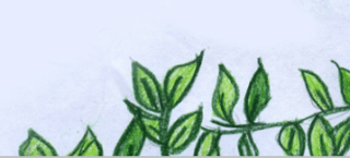 20. Family Tree