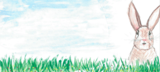 12. Jimmy Longtail