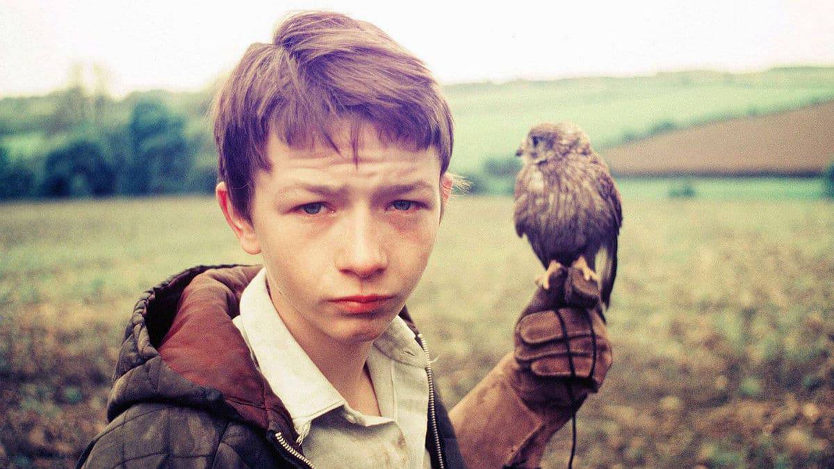 A Kestrel for a Knave – lessons on educational disadvantage