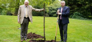 Queen’s Green Canopy Project