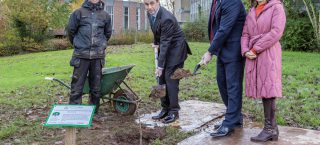 Stranmillis plants Survivor Trees – a symbol of caution and hope