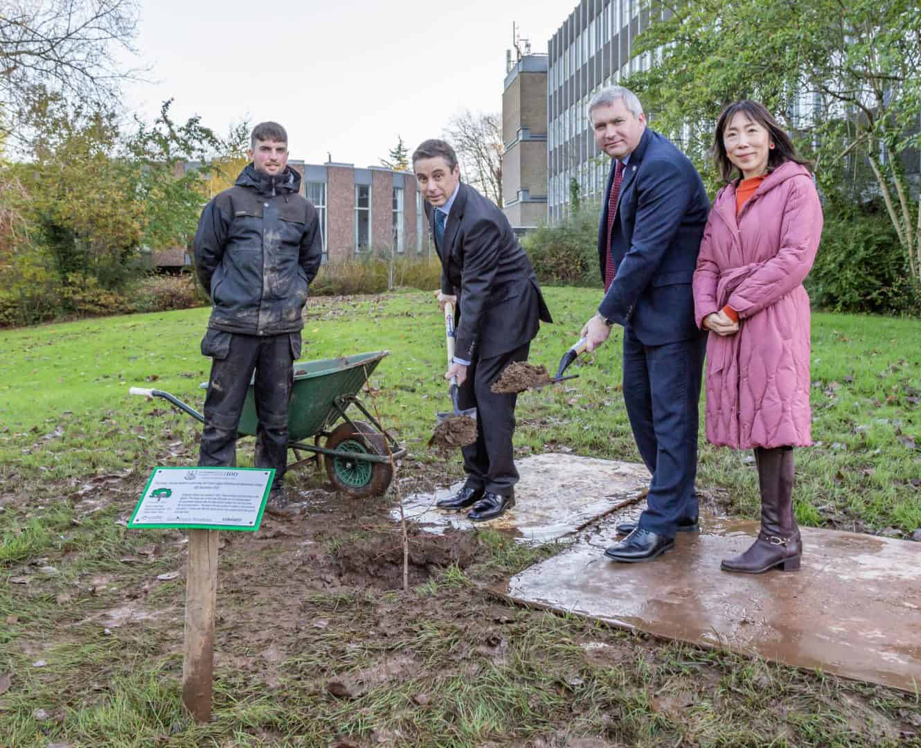 Stranmillis plants Survivor Trees – a symbol of caution and hope