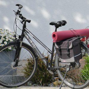 Health Fitness Wellbeing