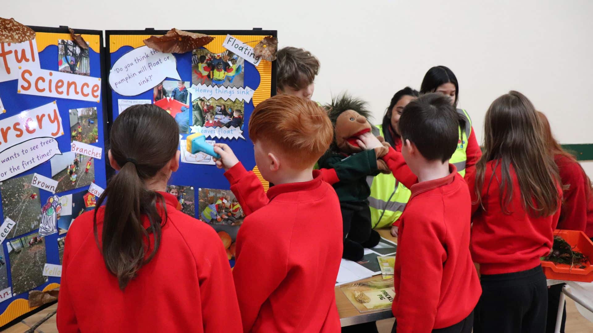 Driving Innovative Practice Through Partnership in Primary Science